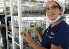 Foto de la galería: Junto a Canal 12, visita a la Biofábrica, entrevistas, recorrido por el laboratorio y producción 