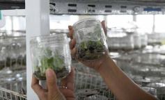 Foto de la galería: Junto a Canal 12, visita a la Biofábrica, entrevistas, recorrido por el laboratorio y producción 