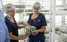 Foto de la galería: Junto a Canal 12, visita a la Biofábrica, entrevistas, recorrido por el laboratorio y producción 