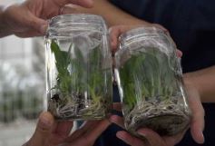 Foto de la galería: Junto a Canal 12, visita a la Biofábrica, entrevistas, recorrido por el laboratorio y producción 