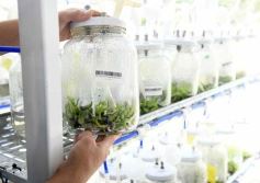 Foto de la galería: Junto a Canal 12, visita a la Biofábrica, entrevistas, recorrido por el laboratorio y producción 