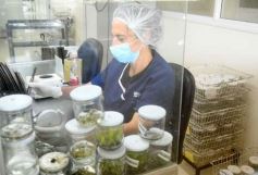 Foto de la galería: Junto a Canal 12, visita a la Biofábrica, entrevistas, recorrido por el laboratorio y producción 