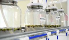 Foto de la galería: Junto a Canal 12, visita a la Biofábrica, entrevistas, recorrido por el laboratorio y producción 