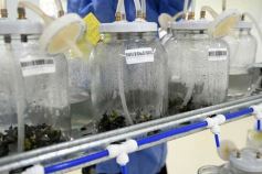 Foto de la galería: Junto a Canal 12, visita a la Biofábrica, entrevistas, recorrido por el laboratorio y producción 