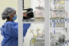 Foto de la galería: Junto a Canal 12, visita a la Biofábrica, entrevistas, recorrido por el laboratorio y producción 