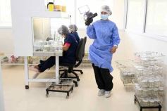 Foto de la galería: Junto a Canal 12, visita a la Biofábrica, entrevistas, recorrido por el laboratorio y producción 