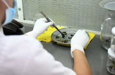 Foto de la galería: Junto a Canal 12, visita a la Biofábrica, entrevistas, recorrido por el laboratorio y producción 