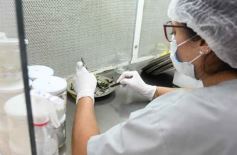 Foto de la galería: Junto a Canal 12, visita a la Biofábrica, entrevistas, recorrido por el laboratorio y producción 