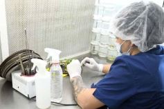 Foto de la galería: Junto a Canal 12, visita a la Biofábrica, entrevistas, recorrido por el laboratorio y producción 