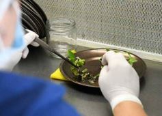 Foto de la galería: Junto a Canal 12, visita a la Biofábrica, entrevistas, recorrido por el laboratorio y producción 