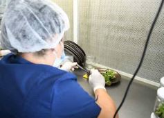 Foto de la galería: Junto a Canal 12, visita a la Biofábrica, entrevistas, recorrido por el laboratorio y producción 