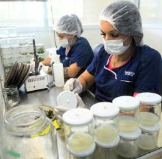 Foto de la galería: Junto a Canal 12, visita a la Biofábrica, entrevistas, recorrido por el laboratorio y producción 