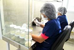 Foto de la galería: Junto a Canal 12, visita a la Biofábrica, entrevistas, recorrido por el laboratorio y producción 