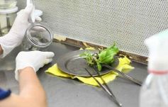 Foto de la galería: Junto a Canal 12, visita a la Biofábrica, entrevistas, recorrido por el laboratorio y producción 