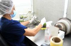 Foto de la galería: Junto a Canal 12, visita a la Biofábrica, entrevistas, recorrido por el laboratorio y producción 