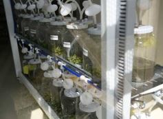 Foto de la galería: Junto a Canal 12, visita a la Biofábrica, entrevistas, recorrido por el laboratorio y producción 