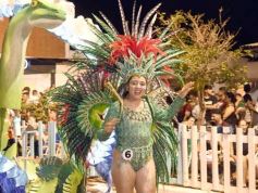 Foto de la galería: San Ignacio vivió la última noche de brillo, show y encuentro en lo que fue el cierre de los Carnavales Misioneros 2025