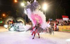 Foto de la galería: San Ignacio vivió la última noche de brillo, show y encuentro en lo que fue el cierre de los Carnavales Misioneros 2025