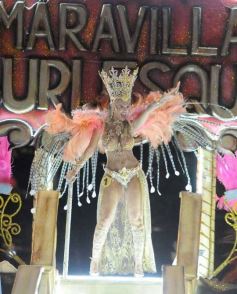 Foto de la galería: San Ignacio vivió la última noche de brillo, show y encuentro en lo que fue el cierre de los Carnavales Misioneros 2025