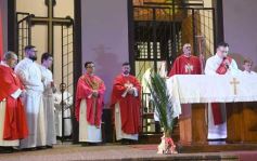 Foto de la galería: Semana Santa en Posadas: la fe y tradición de estas fechas en el masivo encuentro que movilizó la Bendición de Ramos