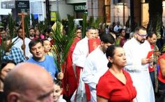 Foto de la galería: Semana Santa en Posadas: la fe y tradición de estas fechas en el masivo encuentro que movilizó la Bendición de Ramos