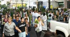 Foto de la galería: Semana Santa en Posadas: la fe y tradición de estas fechas en el masivo encuentro que movilizó la Bendición de Ramos