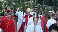 Foto de la galería: Semana Santa en Posadas: la fe y tradición de estas fechas en el masivo encuentro que movilizó la Bendición de Ramos