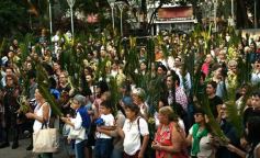 Foto de la galería: Semana Santa en Posadas: la fe y tradición de estas fechas en el masivo encuentro que movilizó la Bendición de Ramos