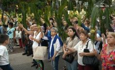 Foto de la galería: Semana Santa en Posadas: la fe y tradición de estas fechas en el masivo encuentro que movilizó la Bendición de Ramos