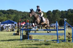 Foto de la galería: Remate, equitación y gastronomía: parte del éxito del domingo de disfrute en el Campo La Armonía