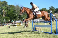 Foto de la galería: Remate, equitación y gastronomía: parte del éxito del domingo de disfrute en el Campo La Armonía