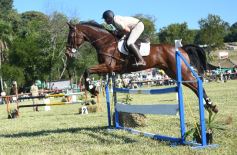 Foto de la galería: Remate, equitación y gastronomía: parte del éxito del domingo de disfrute en el Campo La Armonía