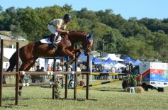 Foto de la galería: Remate, equitación y gastronomía: parte del éxito del domingo de disfrute en el Campo La Armonía