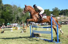 Foto de la galería: Remate, equitación y gastronomía: parte del éxito del domingo de disfrute en el Campo La Armonía