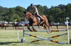 Foto de la galería: Remate, equitación y gastronomía: parte del éxito del domingo de disfrute en el Campo La Armonía