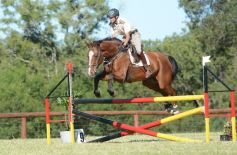 Foto de la galería: Remate, equitación y gastronomía: parte del éxito del domingo de disfrute en el Campo La Armonía