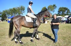 Foto de la galería: Remate, equitación y gastronomía: parte del éxito del domingo de disfrute en el Campo La Armonía