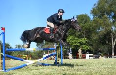 Foto de la galería: Remate, equitación y gastronomía: parte del éxito del domingo de disfrute en el Campo La Armonía