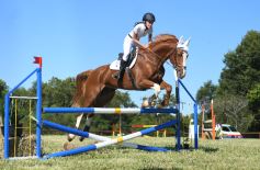 Foto de la galería: Remate, equitación y gastronomía: parte del éxito del domingo de disfrute en el Campo La Armonía