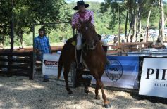 Foto de la galería: Remate, equitación y gastronomía: parte del éxito del domingo de disfrute en el Campo La Armonía