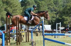 Foto de la galería: Remate, equitación y gastronomía: parte del éxito del domingo de disfrute en el Campo La Armonía