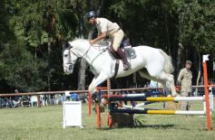 Foto de la galería: Remate, equitación y gastronomía: parte del éxito del domingo de disfrute en el Campo La Armonía