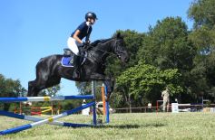 Foto de la galería: Remate, equitación y gastronomía: parte del éxito del domingo de disfrute en el Campo La Armonía