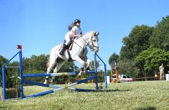 Foto de la galería: Remate, equitación y gastronomía: parte del éxito del domingo de disfrute en el Campo La Armonía
