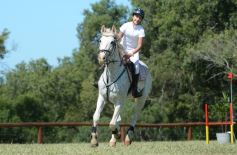 Foto de la galería: Remate, equitación y gastronomía: parte del éxito del domingo de disfrute en el Campo La Armonía