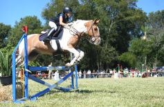 Foto de la galería: Remate, equitación y gastronomía: parte del éxito del domingo de disfrute en el Campo La Armonía