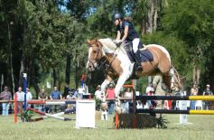 Foto de la galería: Remate, equitación y gastronomía: parte del éxito del domingo de disfrute en el Campo La Armonía