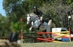 Foto de la galería: Remate, equitación y gastronomía: parte del éxito del domingo de disfrute en el Campo La Armonía