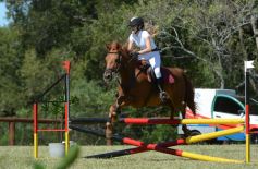 Foto de la galería: Remate, equitación y gastronomía: parte del éxito del domingo de disfrute en el Campo La Armonía