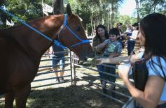 Foto de la galería: Remate, equitación y gastronomía: parte del éxito del domingo de disfrute en el Campo La Armonía